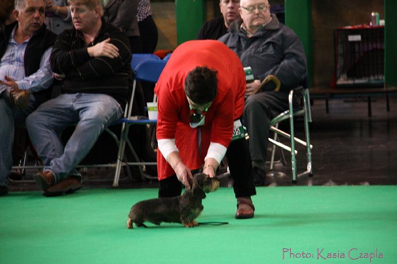 Crufts2011_2 582.jpg